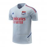 Camisola de Treinamento Lyon 2022-2023 Cinza