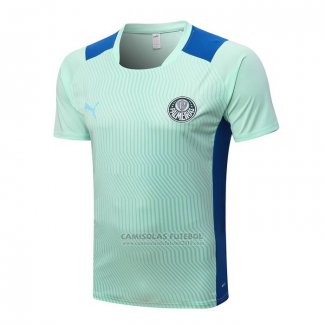 Camisola de Treinamento Palmeiras 2022-2023 Verde