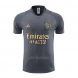 Treinamento Arsenal 2023-2024 Cinza