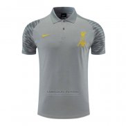 Camisola Polo del Liverpool 2022-2023 Cinza